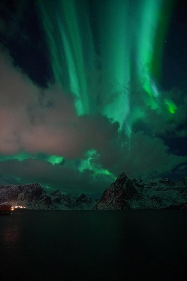 Lofoten Panoramic Luxury Home With Sauna Moskenes Eksteriør billede