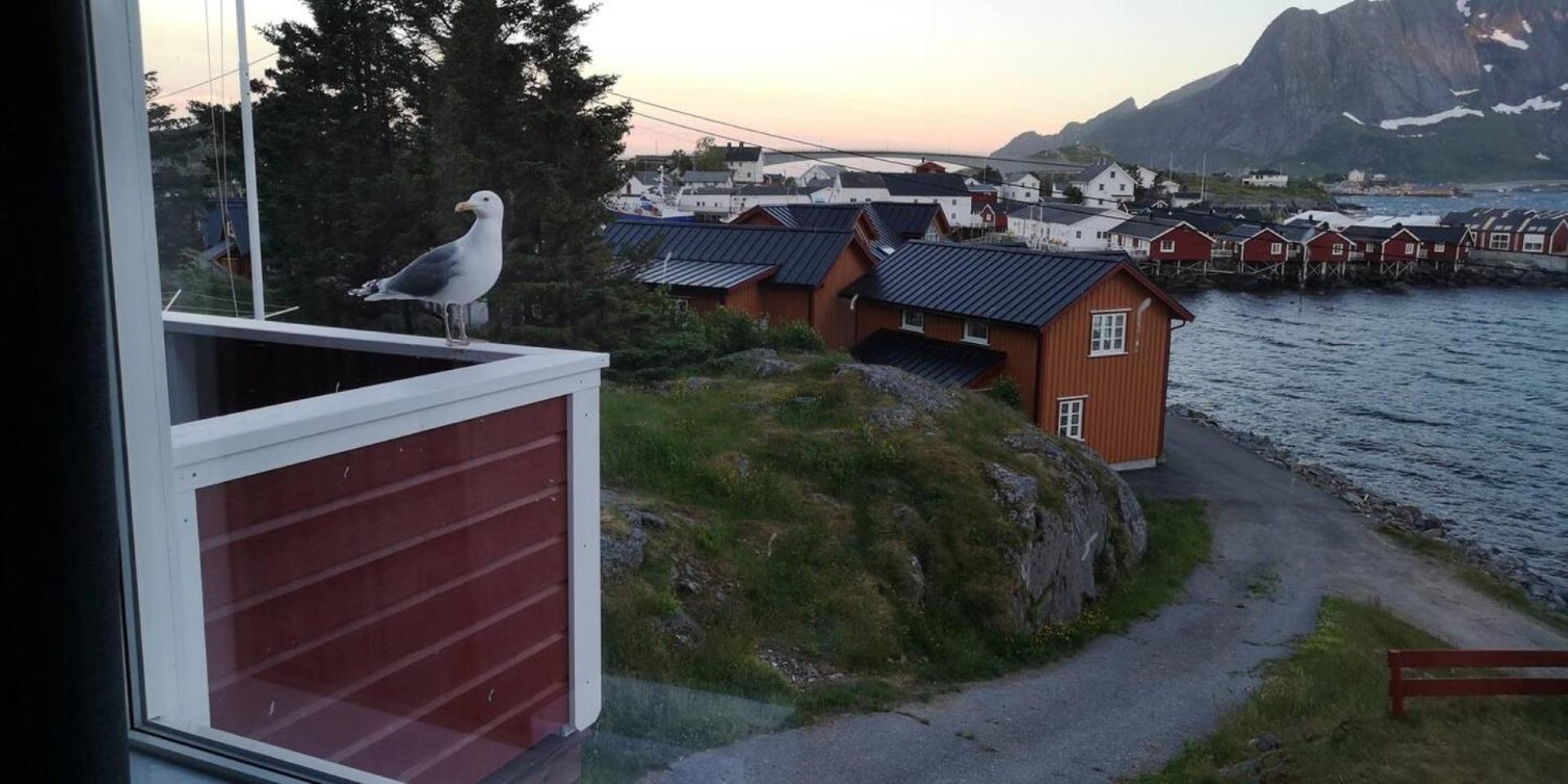 Lofoten Panoramic Luxury Home With Sauna Moskenes Eksteriør billede