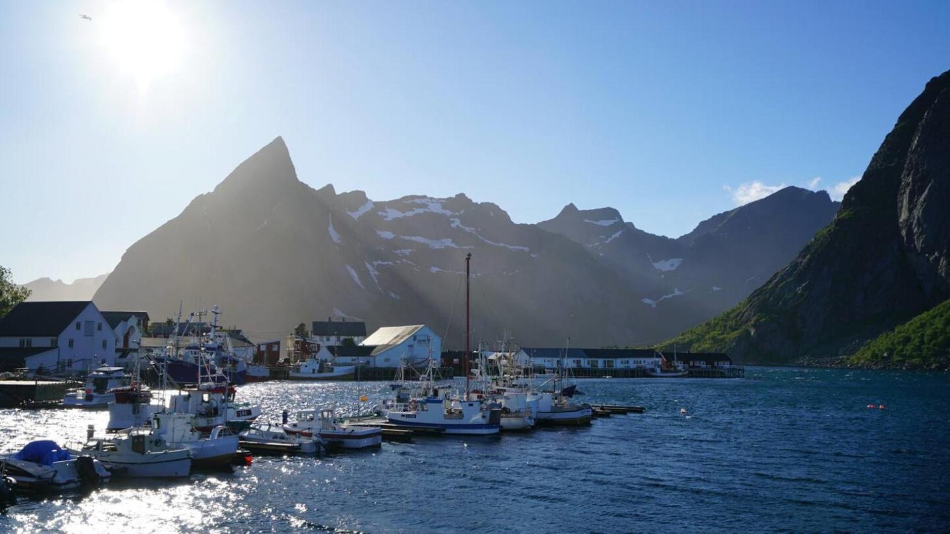 Lofoten Panoramic Luxury Home With Sauna Moskenes Eksteriør billede